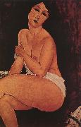 Amedeo Modigliani Seated Female Nude Germany oil painting artist